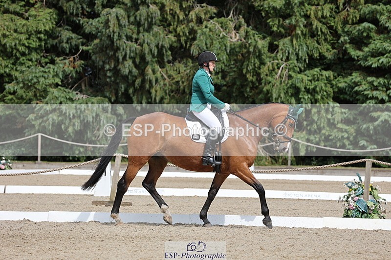 250718A-152806-02570 - 152-Tracy.OKennedy-Wylye.Harlequin