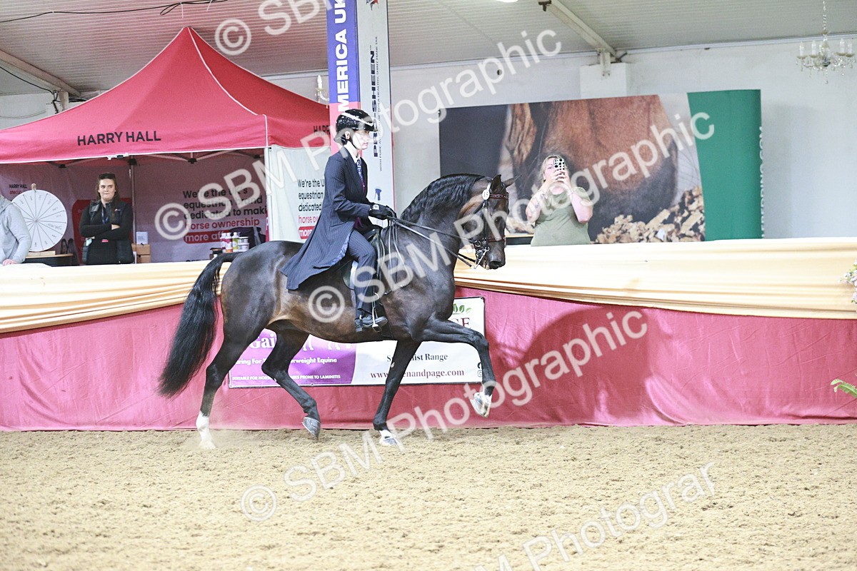 SBM_08808 - Class 12R - Regional Ridden Pre-Vet