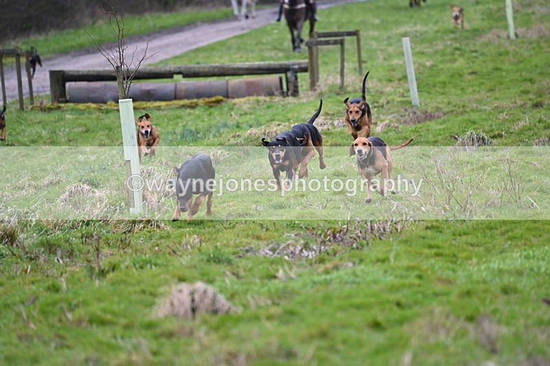 WJ6_8188 - Cam B