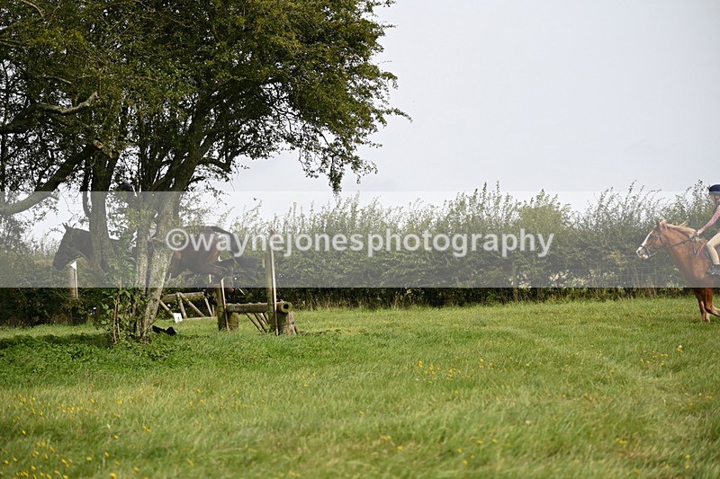 WJ6_8293 - Time 12:18 to 12:59