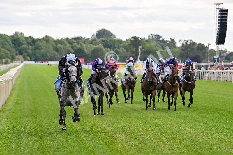 250726-Race 6-Likealot-7657 - Race 6 16.17pm Sky Bet Build A Bet Handicap
