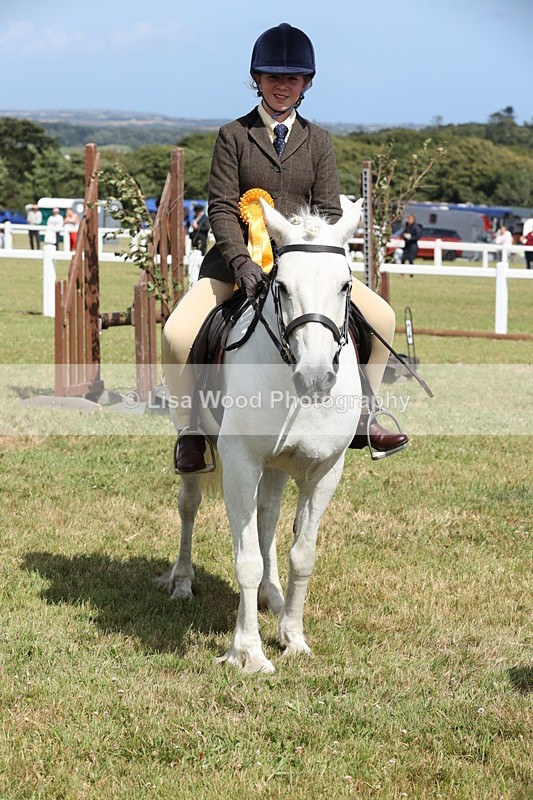 JPP_2458 - Class 19: Working Hunter 60cm