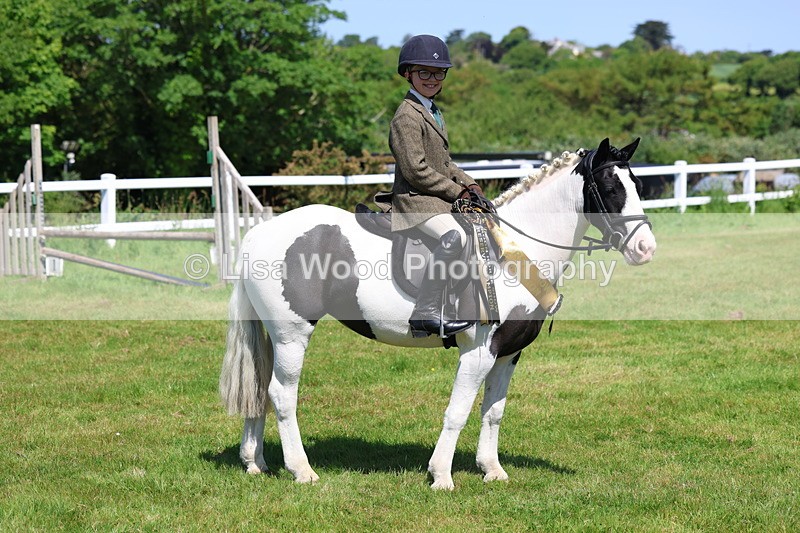 3E7A6828 - Working Hunter Pony Championship