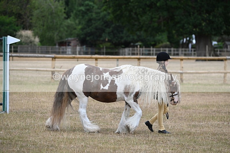 WJ6_7858 - Class 10 Coloured in Hand