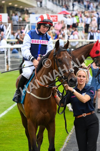 170623-Race 1-Postmark-0135 - Race 1 2.00pm Queen Mother's Cup Handicap