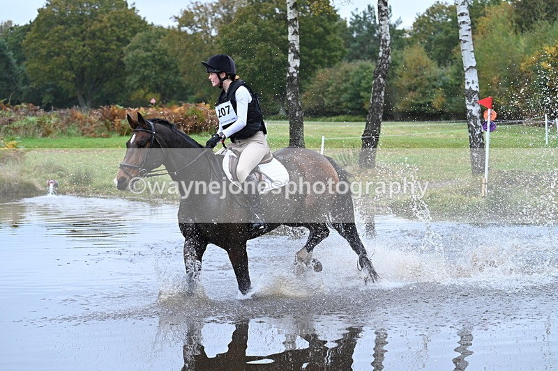 WJ7_2748 - 90cm Cam 2 Water Time 13:05 to 13:27