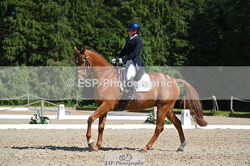 230526-155051-07192 - 251-CLASS_MOVE-Ellie_Healy-WEDTrotUp+DR