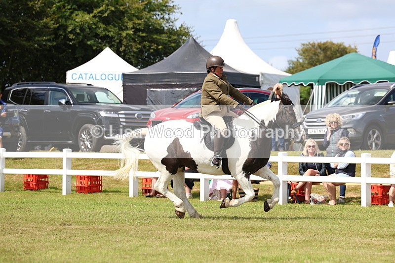 3E7A9940 - Class 5: Rising Star Lightweight/Heavyweight Cobs