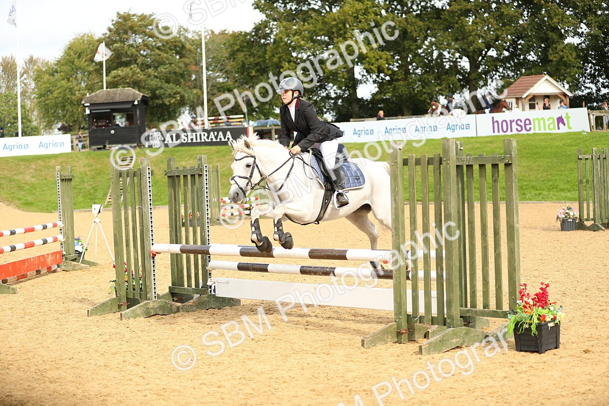 SBM_70201 - J18 - Junior Pony 85cm Championship