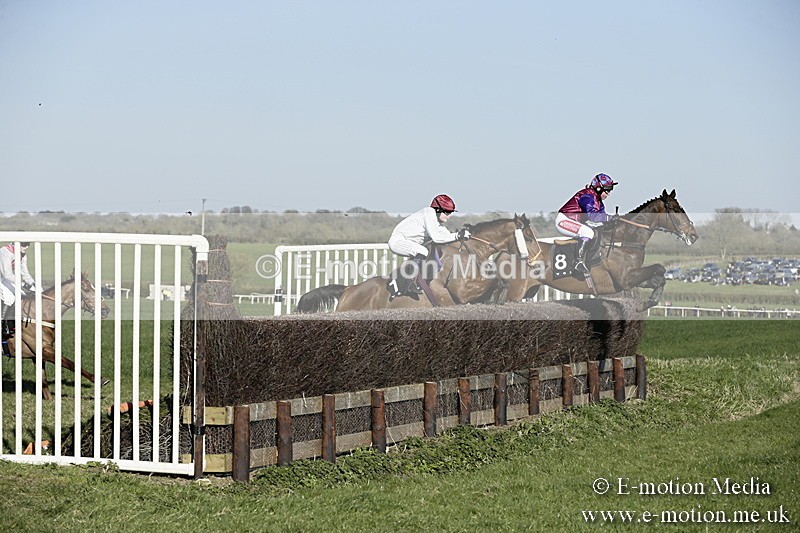 PtP 250317 388 - V.W.H. Hunt Point-to-Point Siddington 25/03/17