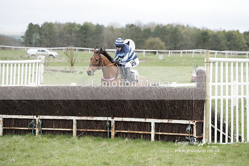 PtP 260323 0509 - New Forest Hounds Point-to-Point Larkhill 26/03/23