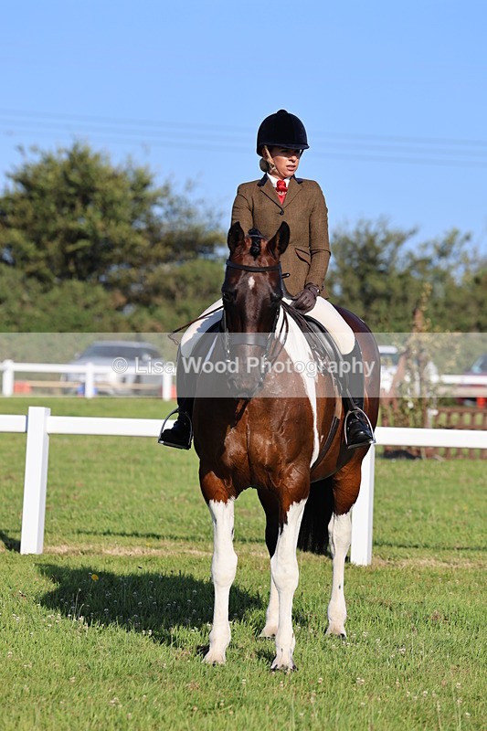 IMG_1252 - Class 27: Ridden Plaited Coloured Horse