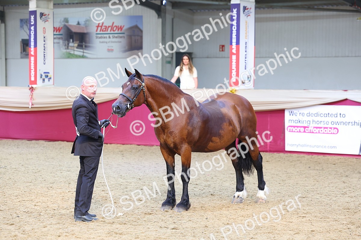 SBM_24989 - Grand Supreme Final Overall Champion