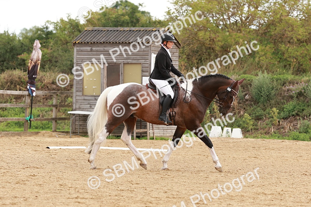 SBM_002751 - Novice 2