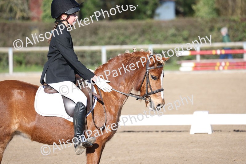 20260214-0289 - Class 3 - Prelim 2