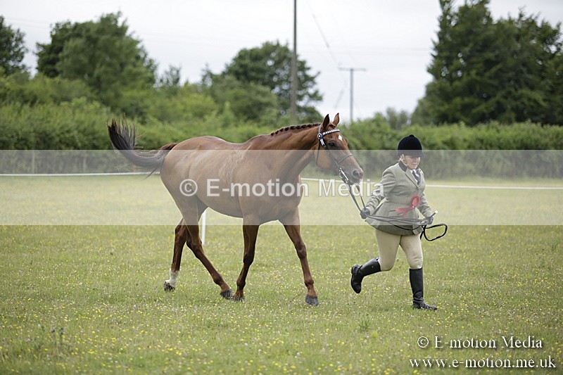 BVR160717-1094 - In Hand Championship 16/07/17