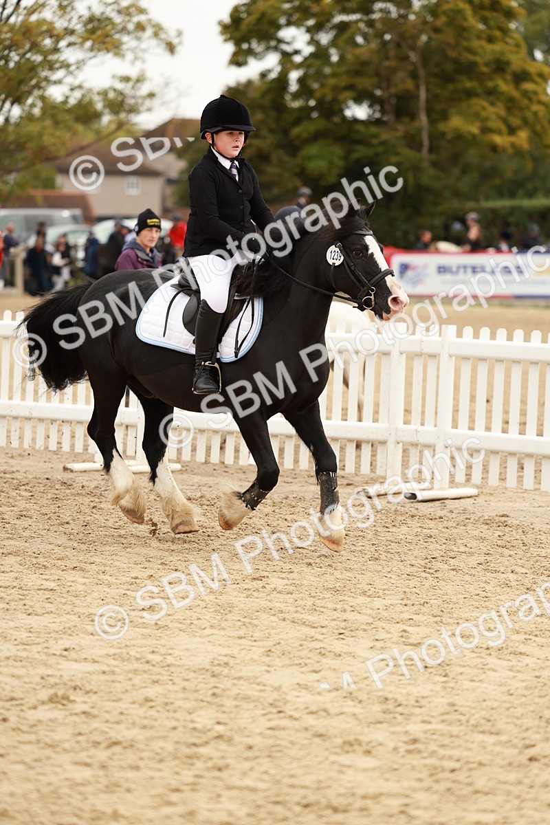 SBM_58031 - J11 - Junior Pony 50cm Championship