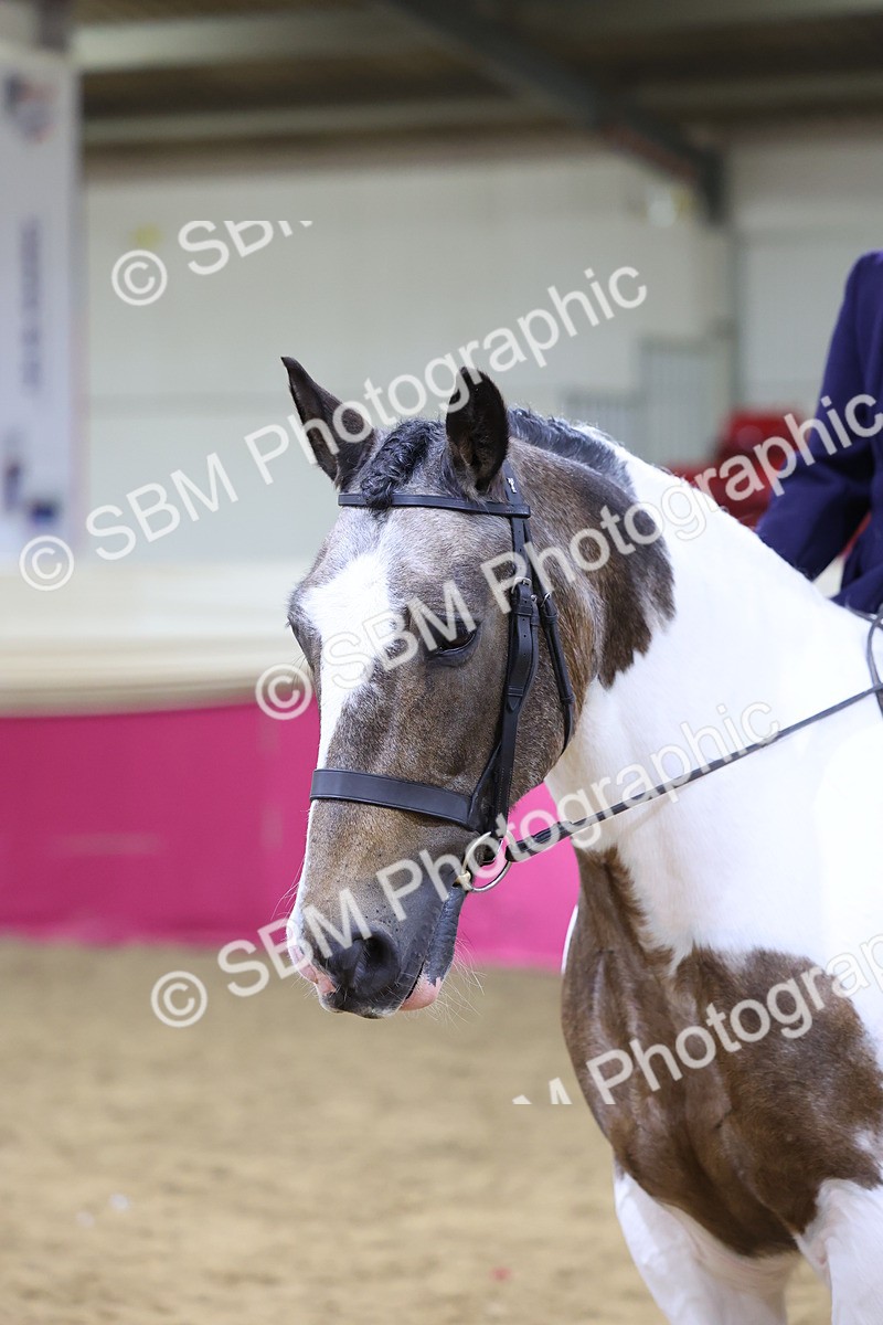 SBM_18585 - Class B Junior Champ 11-16 years