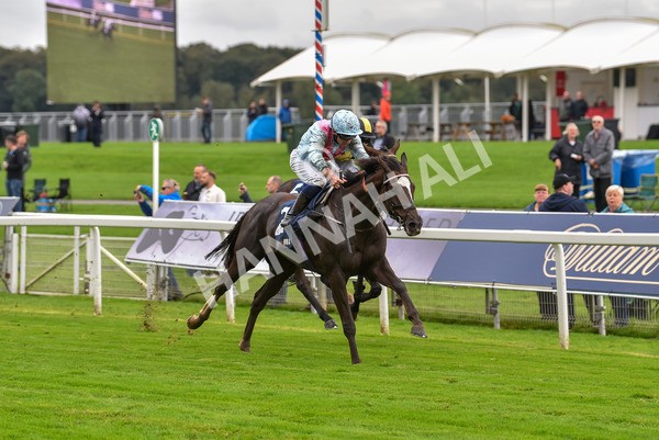 131023-Race 2-Lordship-9196 - Race 2 2.40pm William Hill Finale Handicap