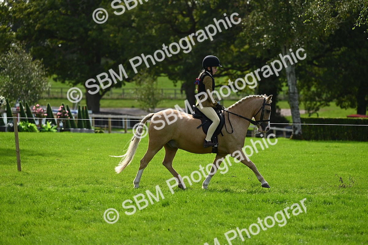 SBM_02627 - S3 - TSR Ridden Pony Showing
