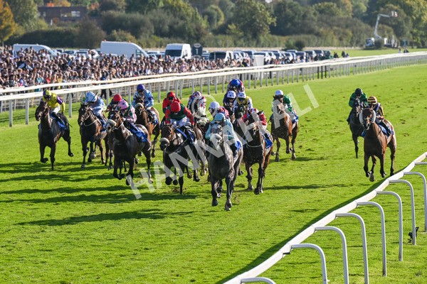 111025-Race 4-Binhareer-8805 - Race 4 Coral Sprint Trophy Handicap at York