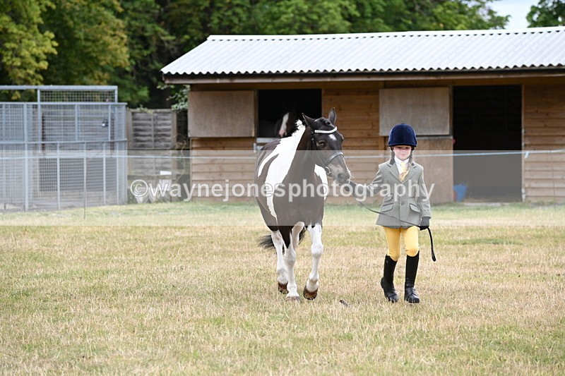 WJ6_4329 - Class 10 Coloured In-hand