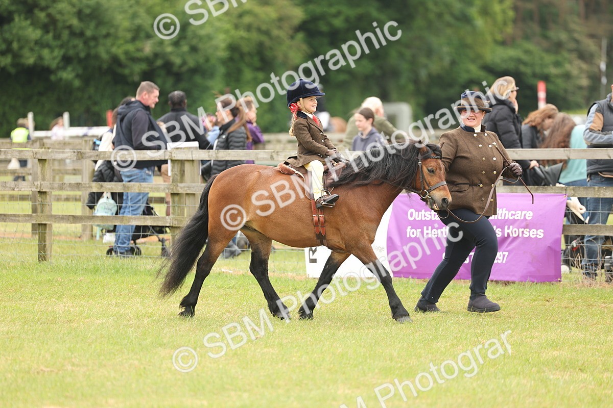 SBM_06660 - Class 74-75 - M&M Lead Rein and First Ridden Pony