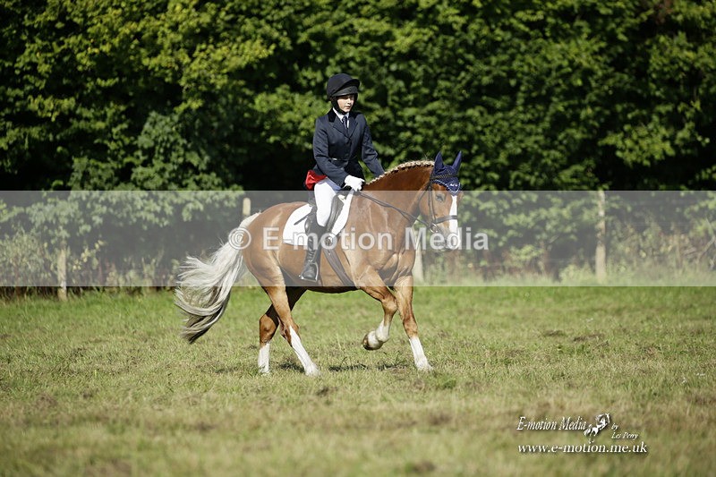 BVRC 120921 204 - Bourne Valley Riding Club UA Dressage & Show Jumping 12/09/21