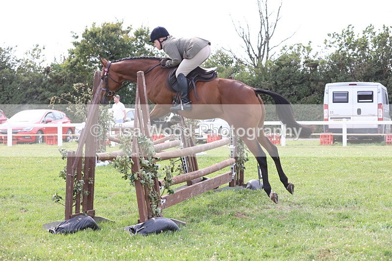 JPP_4198 - Class 25: Working Show Horse