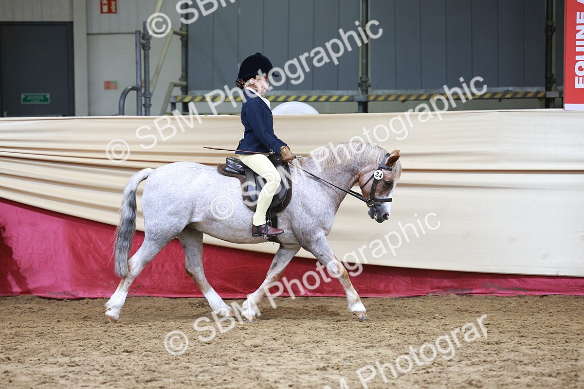 SBM_18718 - Class 952 - M&M Ridden Supreme Final