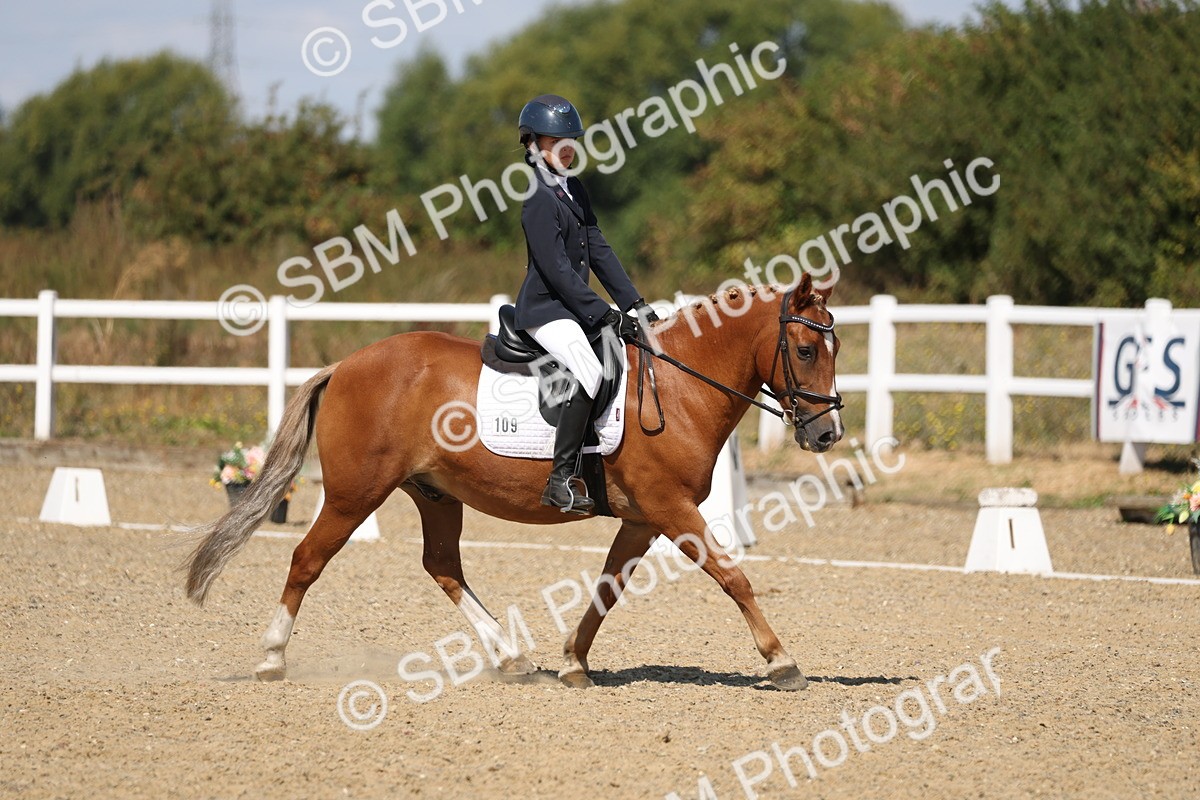 SBM_013733 - Class 1 - P5 Bronze 10.38.12.02