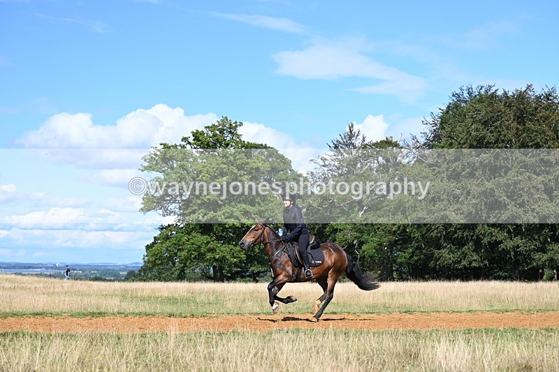 DSC_0188 - Time at Statue 15:58 to 16:05