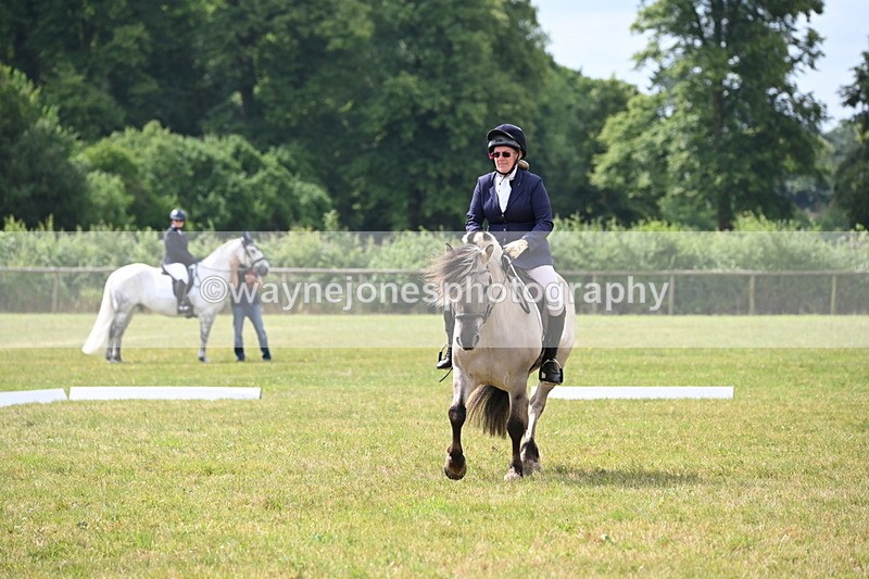 WJ6_6043 - Time 09:46 to 10:26