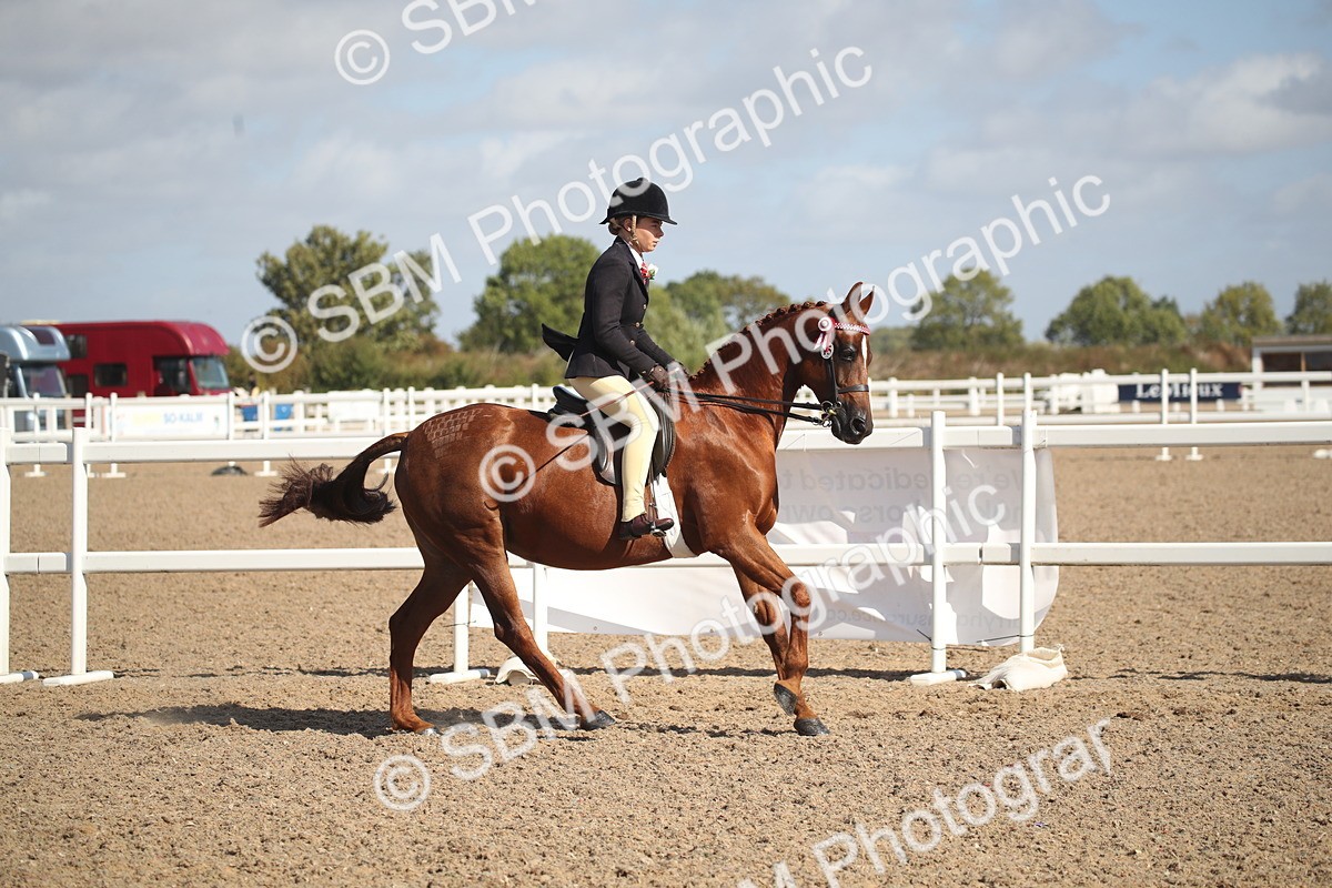 SBM_22921 - Class 603 - 2026 - Ridden Pre Vet
