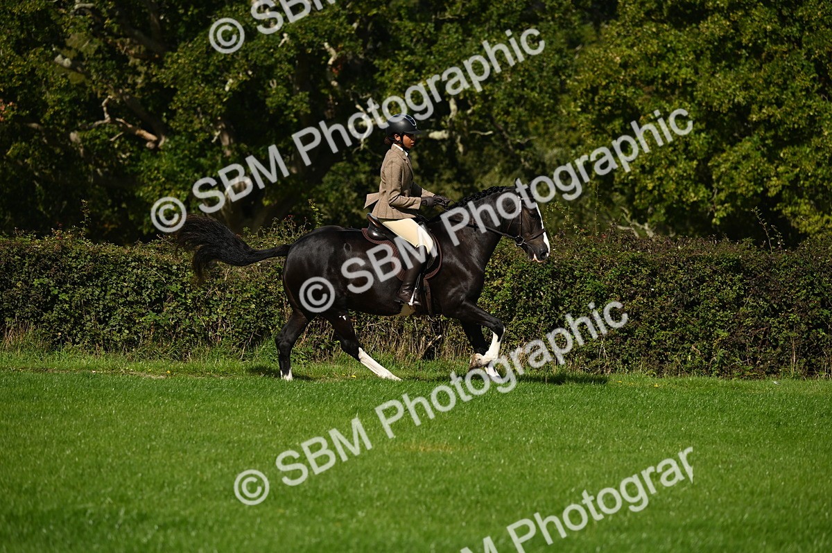 SBM_01431 - S2 - TSR Ridden Horse Showing