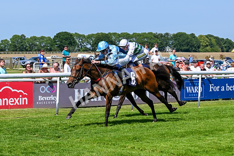 230626-Race 3-Tamzan-0697 - Race 3 15.15pm Big Racing Weekender Next 3 And 4 July Restricted Maiden Stakes