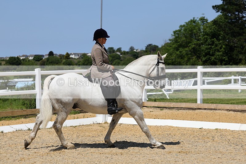 1X9A1701 - Class 11: Ridden Cob