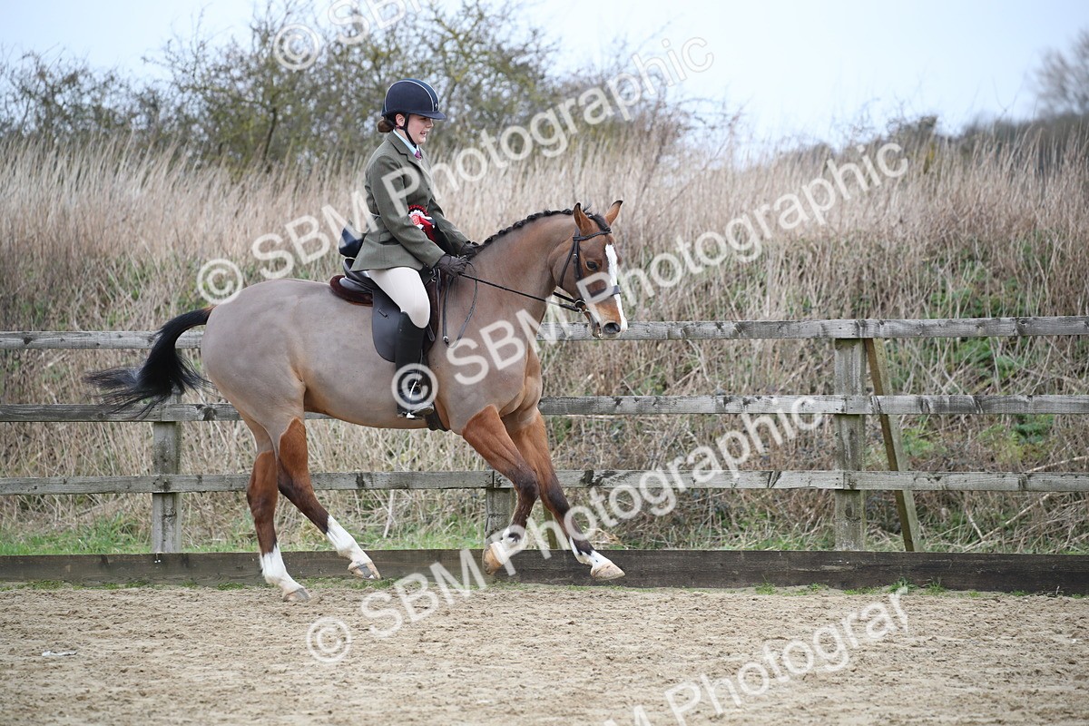 SBM_004772 - Class 5-9 - NPS In Hand-Show Hunter-Intermediate Ridden Inc Ridden Championship