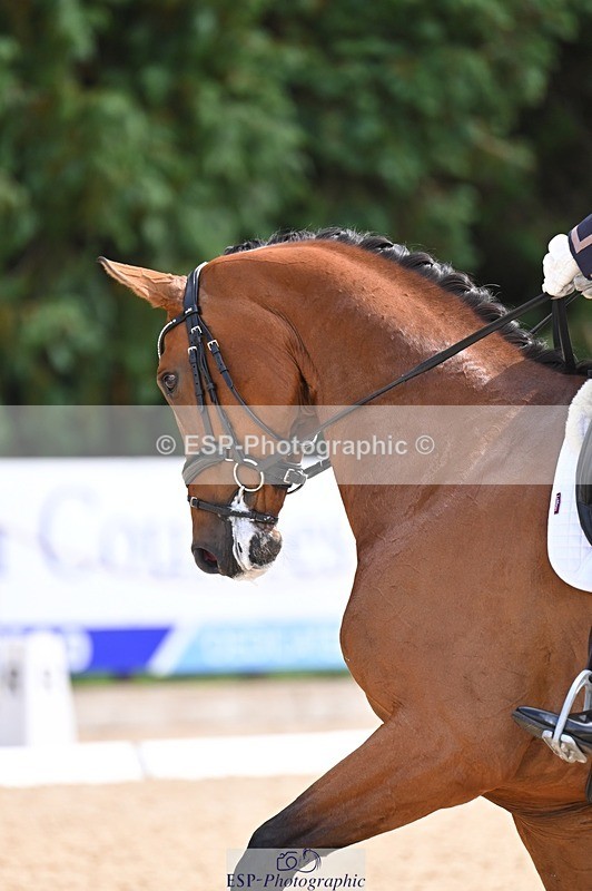 240809-141613-01296 - 172-Robert.Barker-Hawtins.Brindisi