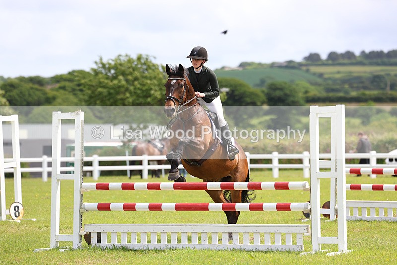 3E7A7504 - Class 13: Senior British Novice/90cm open