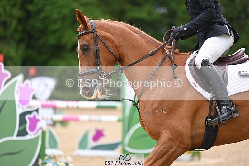 240526-145155-24790 - 221-LAGANS_RICE_STAR-Oliver_Thompson