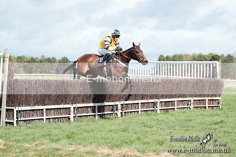 PtP 230324 296 - Tedworth Hunt PtP Larkhill Raccourse 23rd March 2024