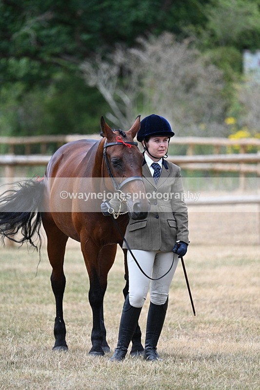 WJ7_1852 - Class 4a Prettiest Mare 14.2hh and over hand