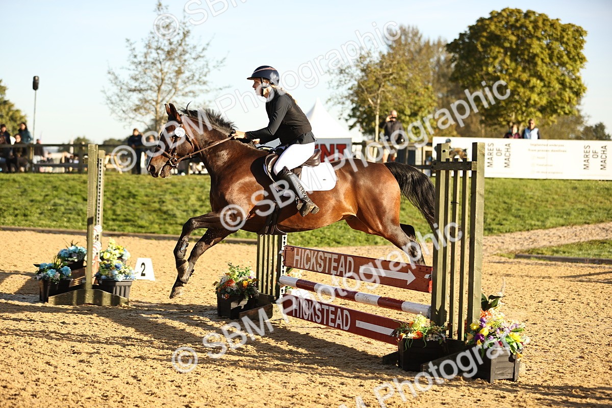 SBM_33138 - J38 - Senior 80cm Championship