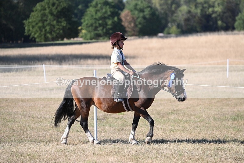 WJ6_9603 - Championship (Class's 40-44)