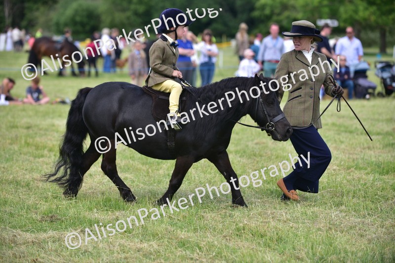 20260614-1218 - Class 11a - Lead Rein Pony (Unplaited)