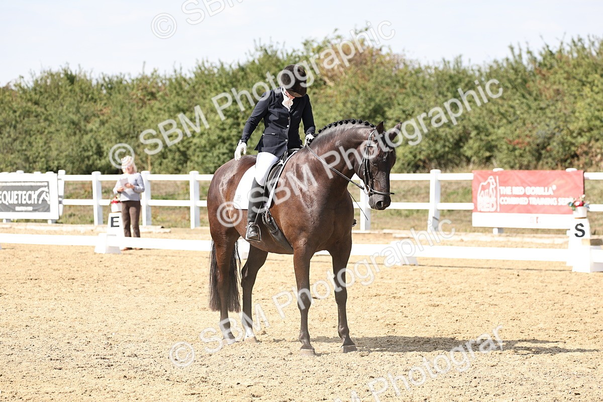 SBM_014883 - Class 7 - Medium 3