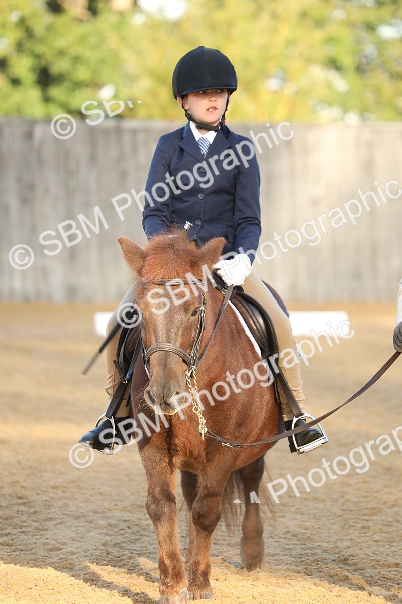 SBM_33615 - D26 - Starers - Lead Rein