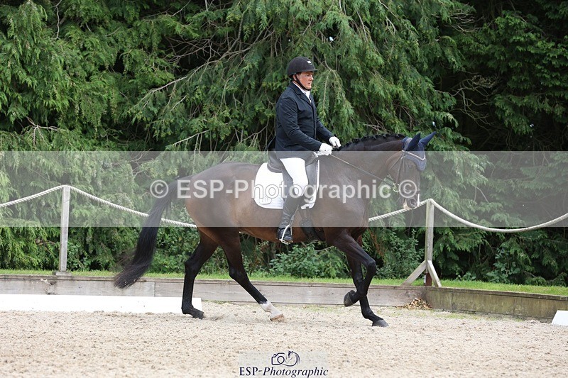 230812-141221-04403 - Cls 5 Novice Bronze 13.40 to 14.45 break