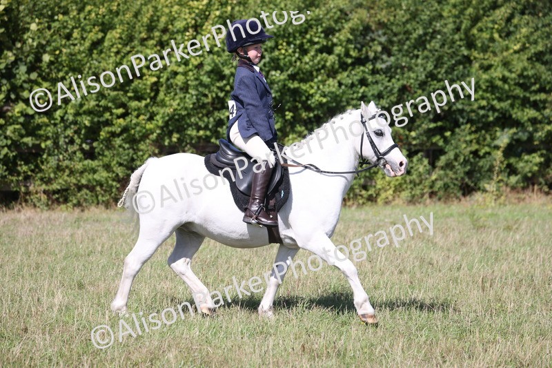 20260906-2359 - Class 16 - Family Pony